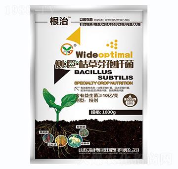 ��(c��)���ޡ��ݲ�ѿ�ߗU��-����-��(zh��n)܇(ch��)