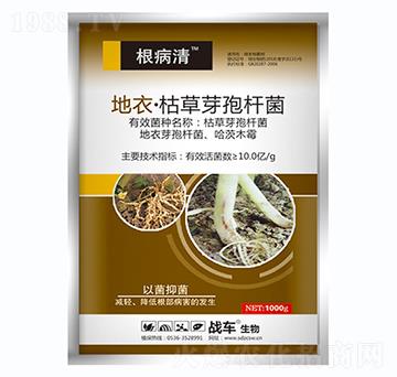 ����.�ݲ�ѿ�ߗU��-������-��(zh��n)܇(ch��)