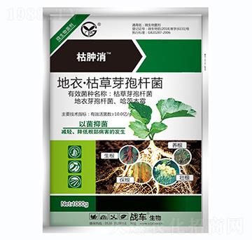 ����.�ݲ�ѿ�ߗU��-���[��-��(zh��n)܇(ch��)