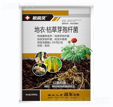 ����.�ݲ�ѿ�ߗU��-�����`-��(zh��n)܇(ch��)