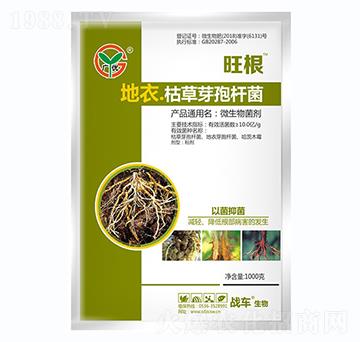 ���¡��ݲ�ѿ�ߗU��-����-��(zh��n)܇(ch��)