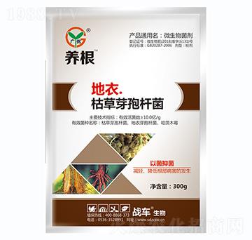 ���¡��ݲ�ѿ�ߗU��-�B(y��ng)��-��(zh��n)܇(ch��)