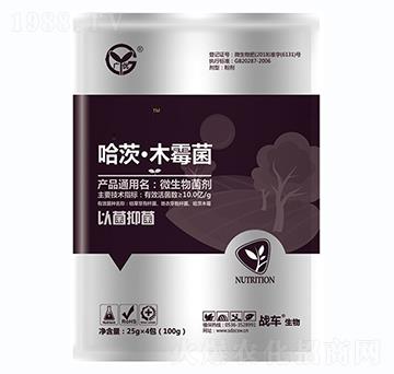 ���ġ�ľù��-��(x��)��-��(zh��n)܇(ch��)