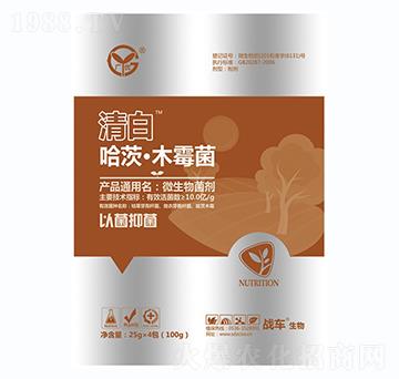 ���ġ�ľù��-���-��(zh��n)܇(ch��)