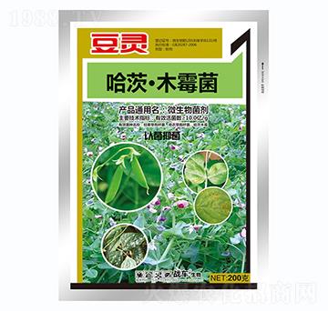 哈茨木霉菌-豆靈-戰(zhàn)車