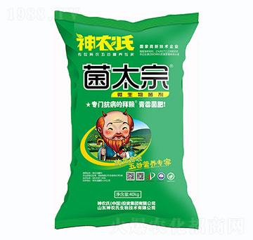 ΢�������-��̫��-���r��