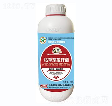 �ݲ�ѿ�ߗU��-��(zh��n)܇(ch��)