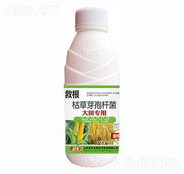 ����ÿݲ�ѿ�ߗU��-�ȸ�-��(zh��n)܇(ch��)