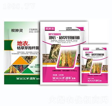 ���¡��ݲ�ѿ�ߗU��-���[�`-��(zh��n)܇(ch��)