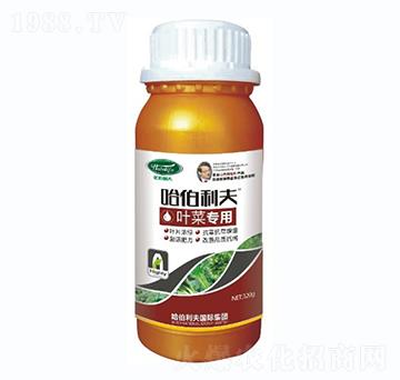 葉菜專用-哈伯利夫