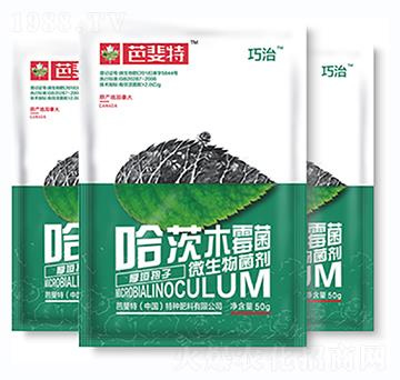 ΢�������������ľù��-����-�����