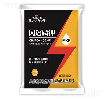 �W�����-ʥ���f��-����Ԫ��