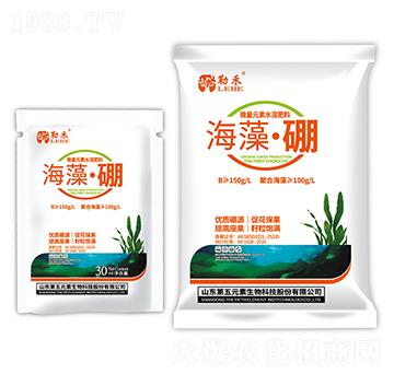 ���塤��-�պ�-����Ԫ��