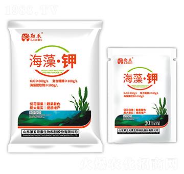 ���塤�-�պ�-����Ԫ��