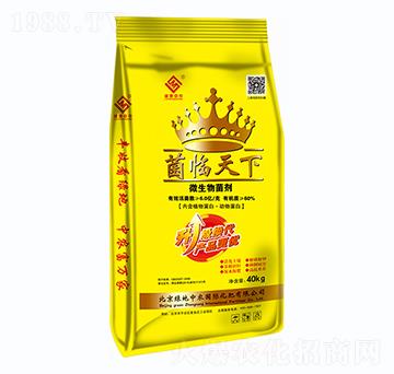 ΢�������-�¾��R����-�G�����r