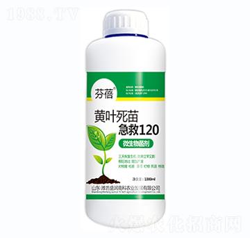 黃葉死苗急救120-芬蓓-盛潤(rùn)高科