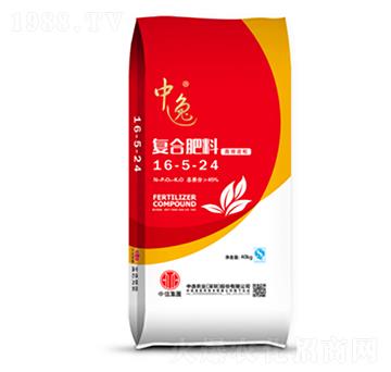 ��(f��)�Ϸ���16-5-24-�����r(n��ng)�I(y��)