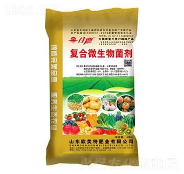 �ͺ�΢�������-��������