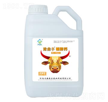 �_ʩ��ԥ���S�Ǵ��}-���n����