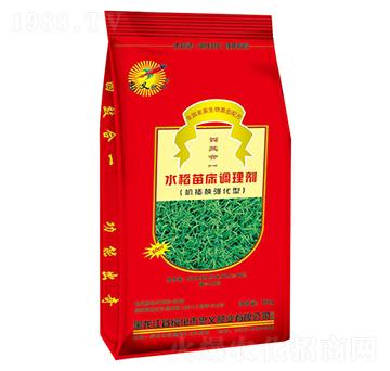 水稻苗床調(diào)理劑-久勝生物