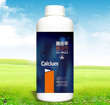 ʩȫ�S�Ҹ��}-����