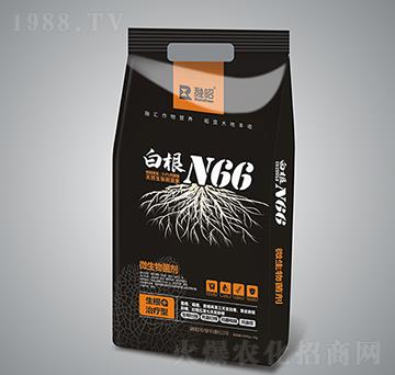 �׸�N66-�����r�I(y��)