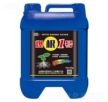 ����1̖-�~����