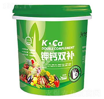 ��}�p�a(b��)-��ɽ̩�S