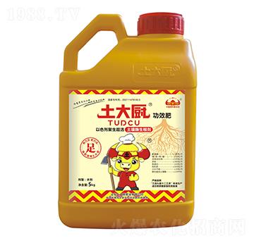 ����ø������-����N