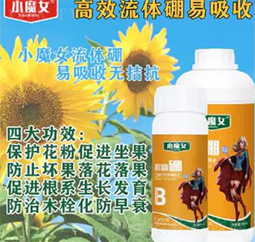 ���w��-СħŮ-���н�