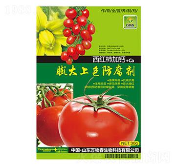 ���t�����}�����ɫ������-�f(w��n)�ﴺ