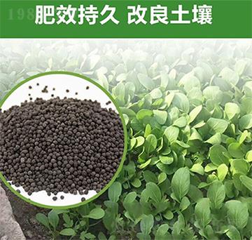 綠化專(zhuān)用肥-富瑞豐