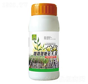 �������������@��ֱ-�f�ﴺ