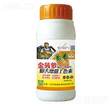 ���}���������ɫ-�f�ﴺ