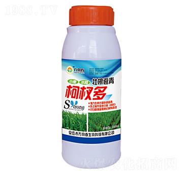 1000ml�Ѹ������辶�-�f�ﴺ