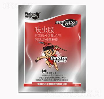 20%���x��-����������-������