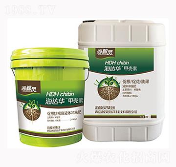 ���_�A�ך���-���L�`