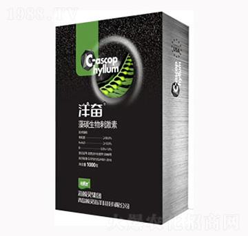 ��������̼���-��^-���L�`