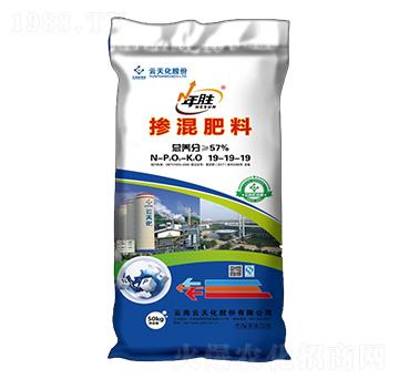 �������19-19-19-���-���o����