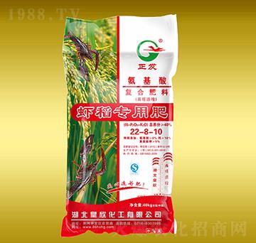 �r�����Ï�(f��)�Ϸ���20-8-10-����