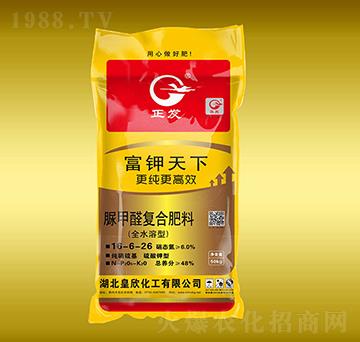 ���ȩ��(f��)�Ϸ���16-6-26-�������-����