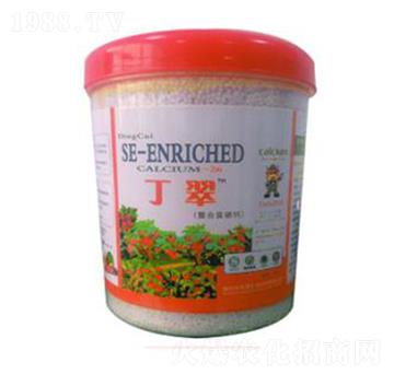 �������ϸ����}-�A�I����