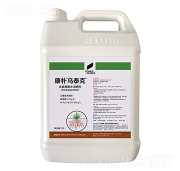 �����̩��-����