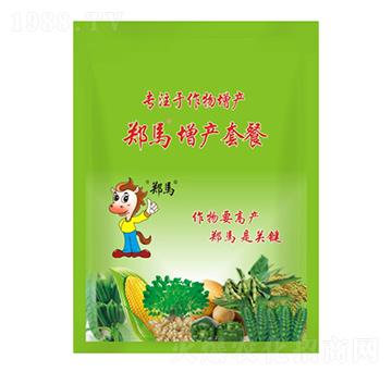 鄭馬增產(chǎn)套餐-千里馬農(nóng)業(yè)