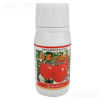 含氨基酸水溶肥料-番茄一點(diǎn)紅-中天肥業(yè)