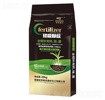 ȫ���a(b��)���}��������40kg-(li��n)��μ�