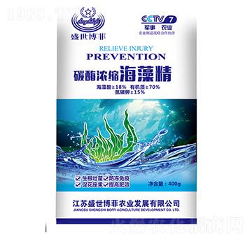 ̼ø��s���徫-ʢ������-�е����r(n��ng)