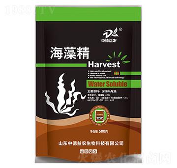 ���徫-�е����r(n��ng)