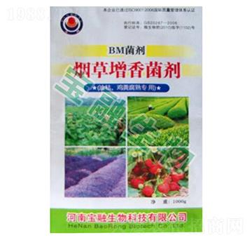 BMͿuS(zhun)ã-