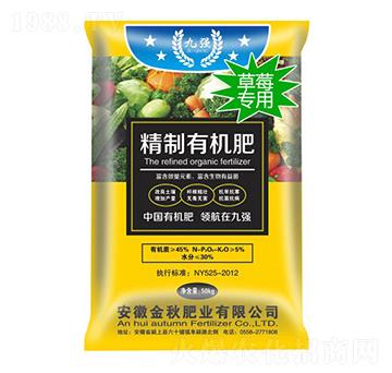 草莓專用精制有機肥-九強-金秋肥業(yè)